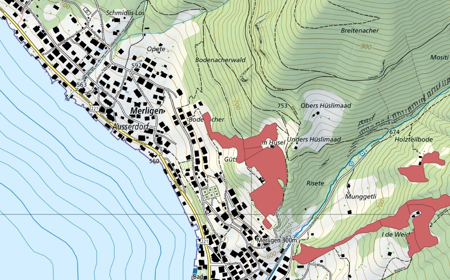 swisstopo national map showing the protected perimeter of Gütsch (Dry meadow)