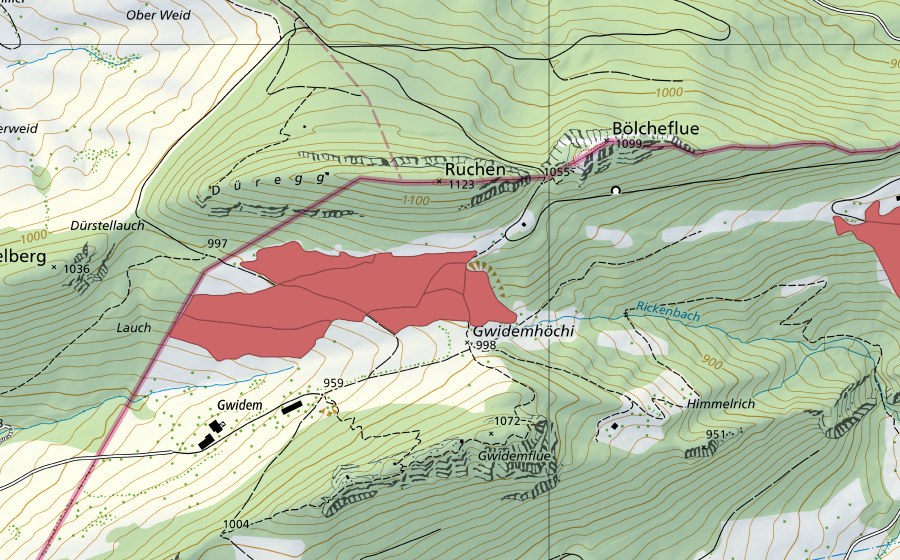 swisstopo national map showing the protected perimeter of Gwidem (Dry meadow)