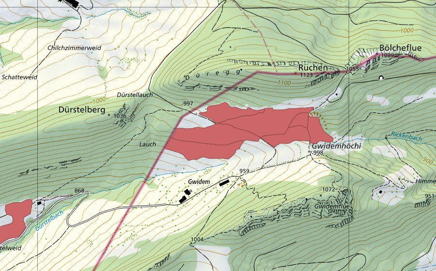 Landeskarte swisstopo mit dem Schutzperimeter von Gwidem (Trockenwiese)