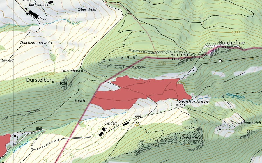 swisstopo national map showing the protected perimeter of Gwidem (Dry meadow)