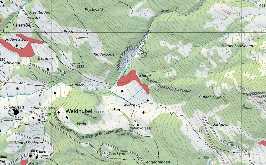 swisstopo national map showing the protected perimeter of Gwiggi (Dry meadow)