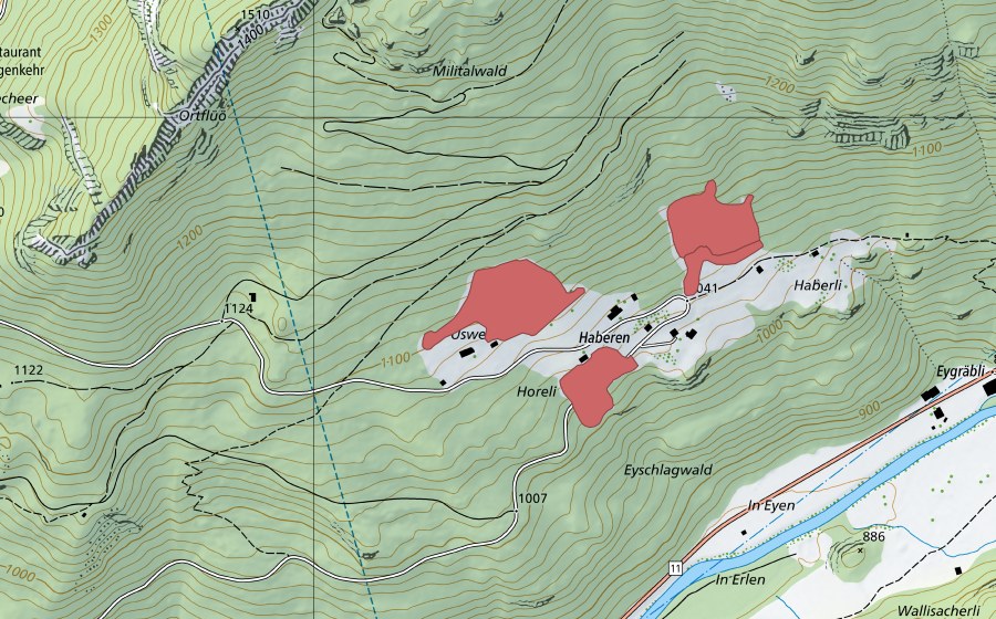 swisstopo national map showing the protected perimeter of Haberen (Dry meadow)