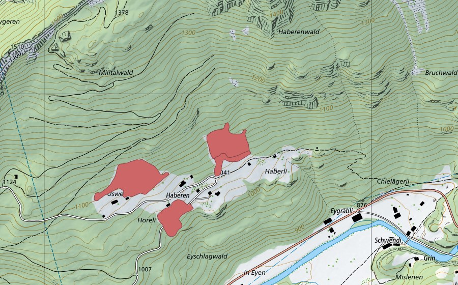 Landeskarte swisstopo mit dem Schutzperimeter von Haberen (Trockenwiese)