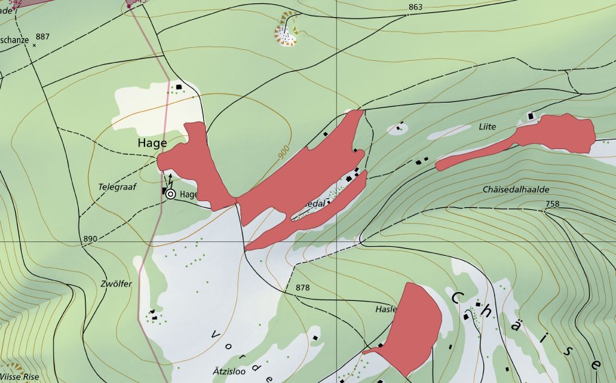 Landeskarte swisstopo mit dem Schutzperimeter von Hagenturm (Trockenwiese)