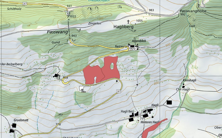 Carte nationale swisstopo avec le périmètre protégé de Hagliweid (Prairie sèche)