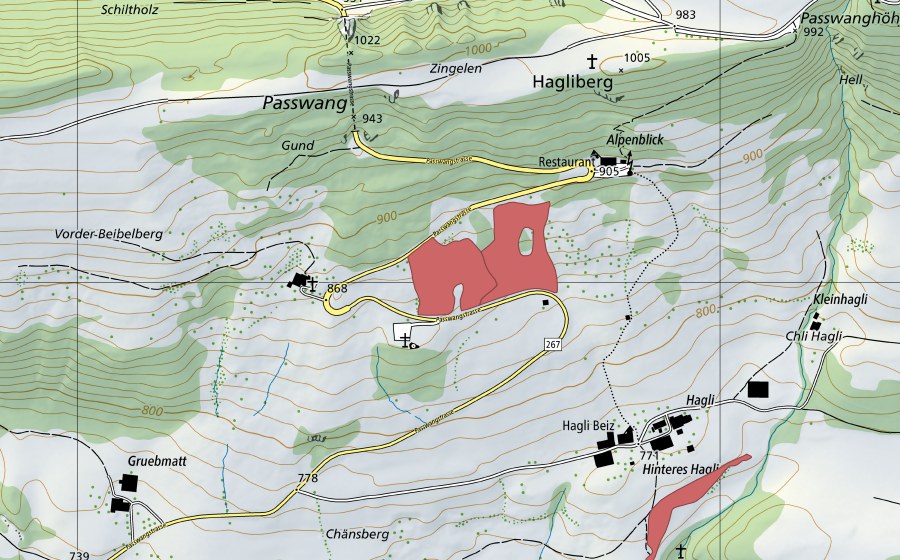 Landeskarte swisstopo mit dem Schutzperimeter von Hagliweid (Trockenwiese)