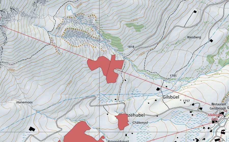 swisstopo national map showing the protected perimeter of Hahnenmoos (Dry meadow)