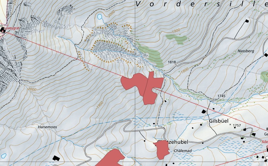 Carta nazionale swisstopo con il perimetro protetto di Hahnenmoos (Prato secco)