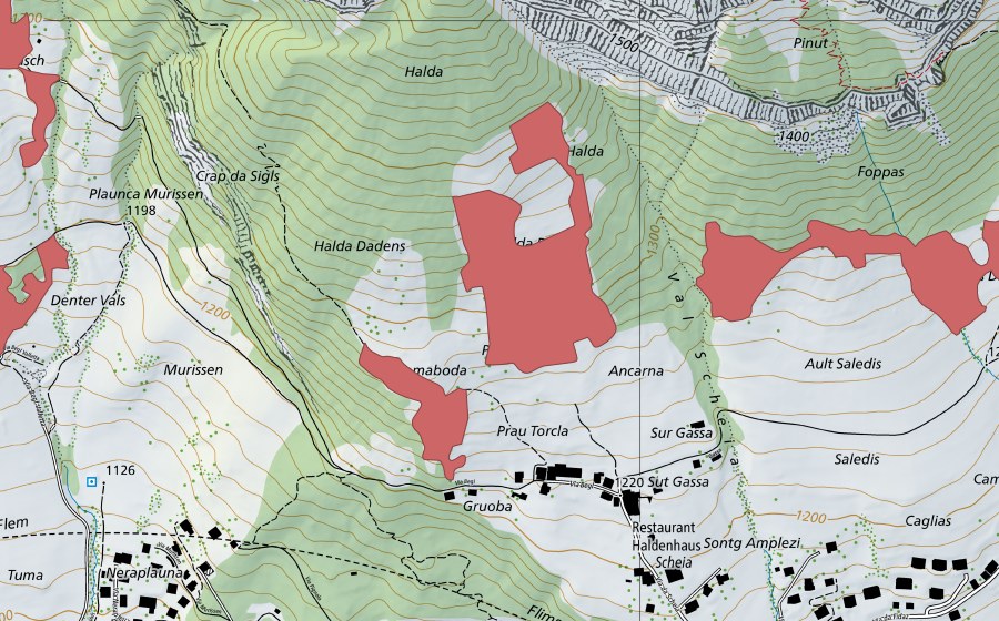 Carte nationale swisstopo avec le périmètre protégé de Halda (Prairie sèche)