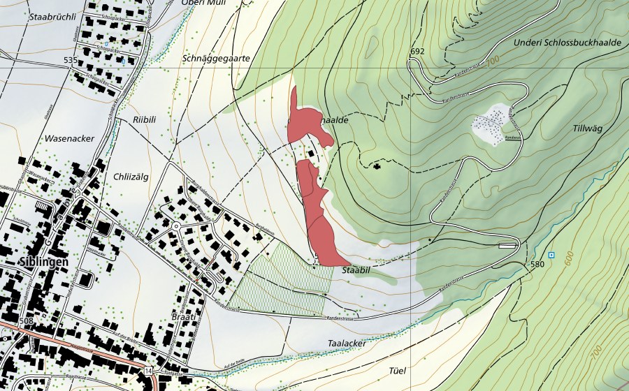 Landeskarte swisstopo mit dem Schutzperimeter von Halde (Trockenwiese)