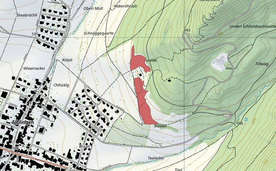 swisstopo national map showing the protected perimeter of Halde (Dry meadow)