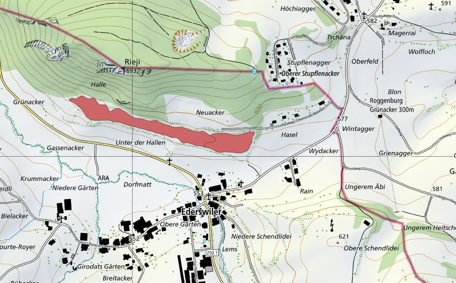 swisstopo national map showing the protected perimeter of Hallen (Dry meadow)