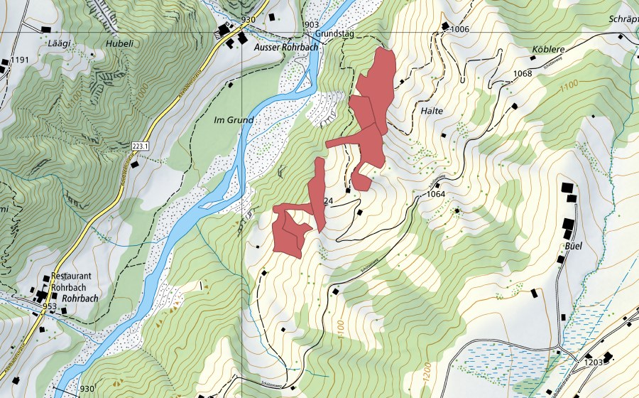 Landeskarte swisstopo mit dem Schutzperimeter von Halte (Trockenwiese)