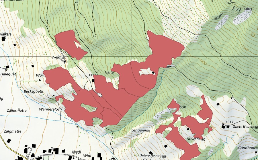 swisstopo national map showing the protected perimeter of Halte (Dry meadow)