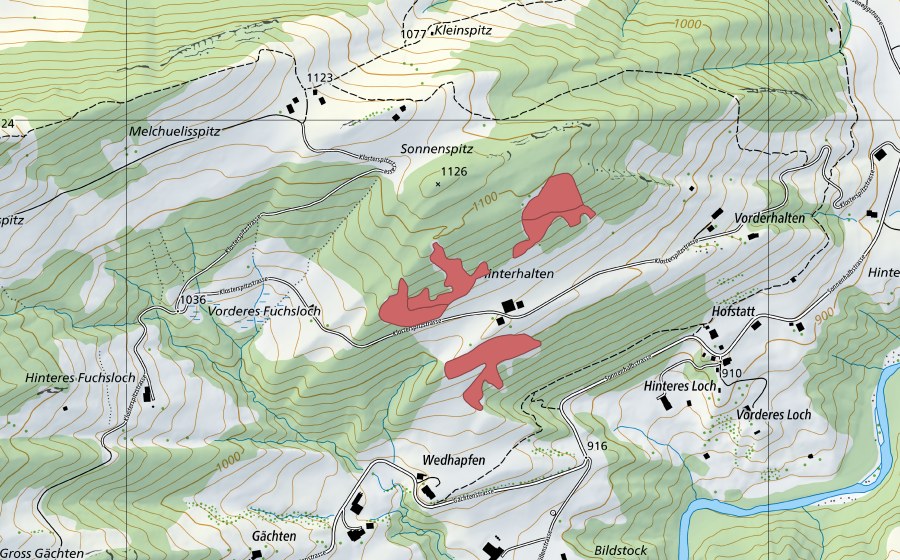 swisstopo national map showing the protected perimeter of Halten (Dry meadow)