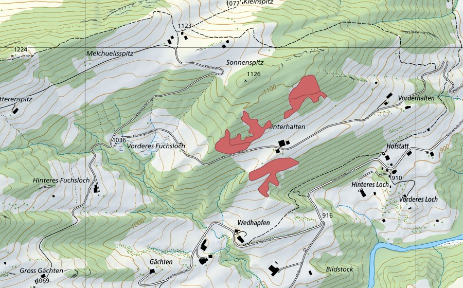 Carta nazionale swisstopo con il perimetro protetto di Halten (Prato secco)