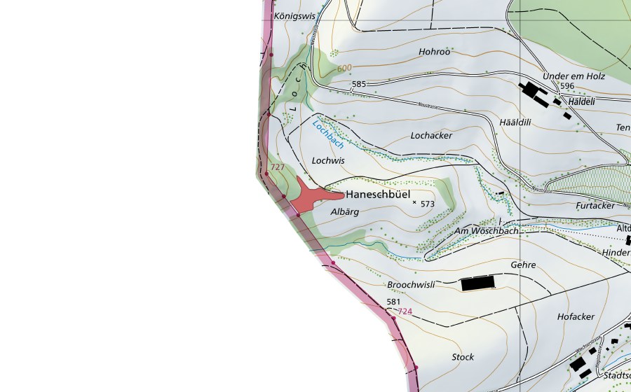 Carta nazionale swisstopo con il perimetro protetto di Hanesbüel (Prato secco)