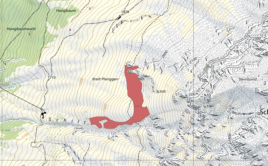 Landeskarte swisstopo mit dem Schutzperimeter von Hangbaum (Trockenwiese)
