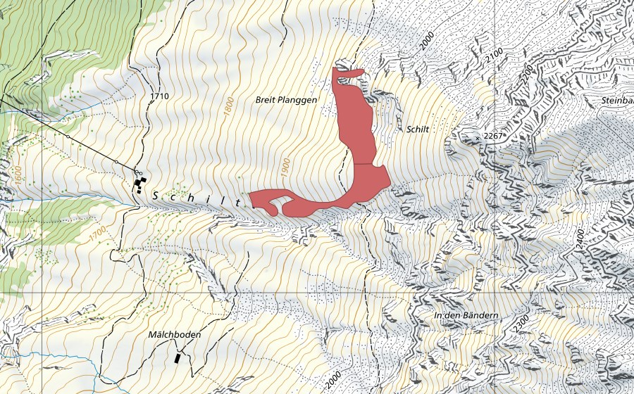 Landeskarte swisstopo mit dem Schutzperimeter von Hangbaum (Trockenwiese)