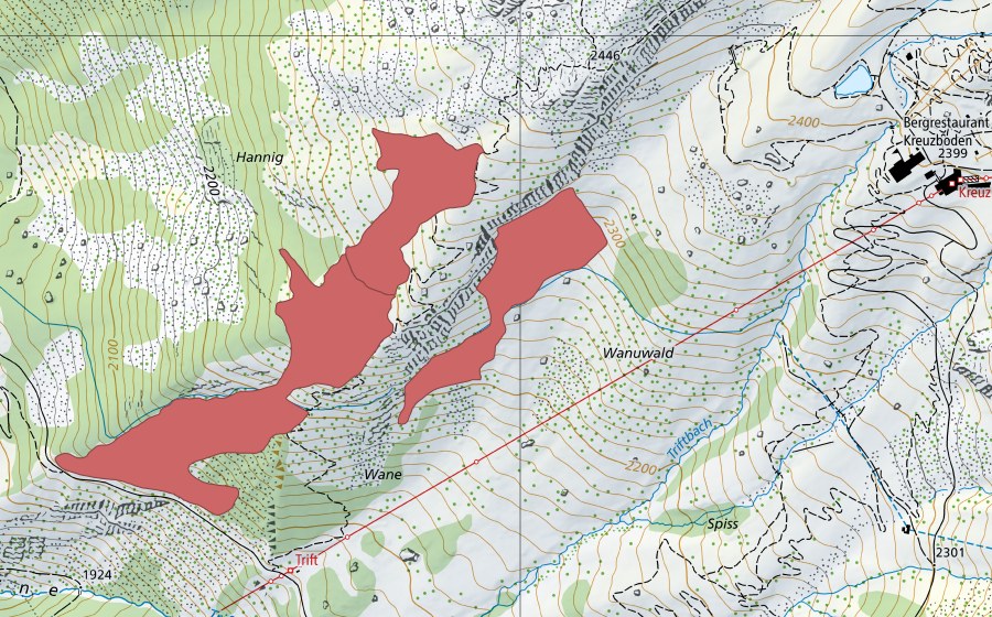 Landeskarte swisstopo mit dem Schutzperimeter von Hannig (Trockenwiese)