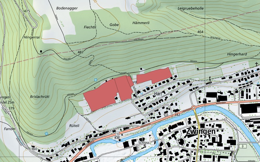 Landeskarte swisstopo mit dem Schutzperimeter von Hard (Trockenwiese)