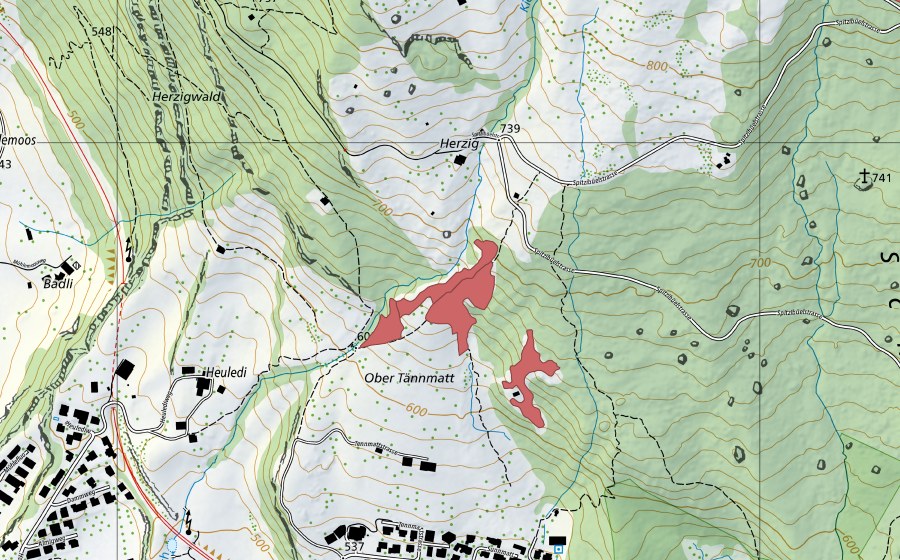 swisstopo national map showing the protected perimeter of Härzig (Dry meadow)