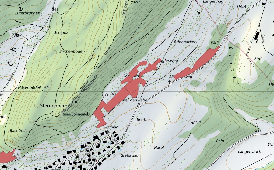 swisstopo national map showing the protected perimeter of Hasel (Dry meadow)