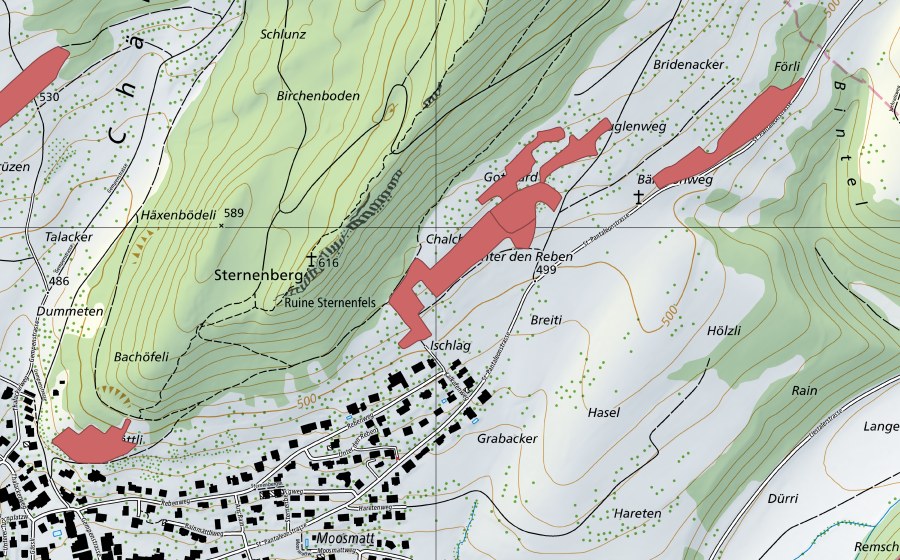 swisstopo national map showing the protected perimeter of Hasel (Dry meadow)