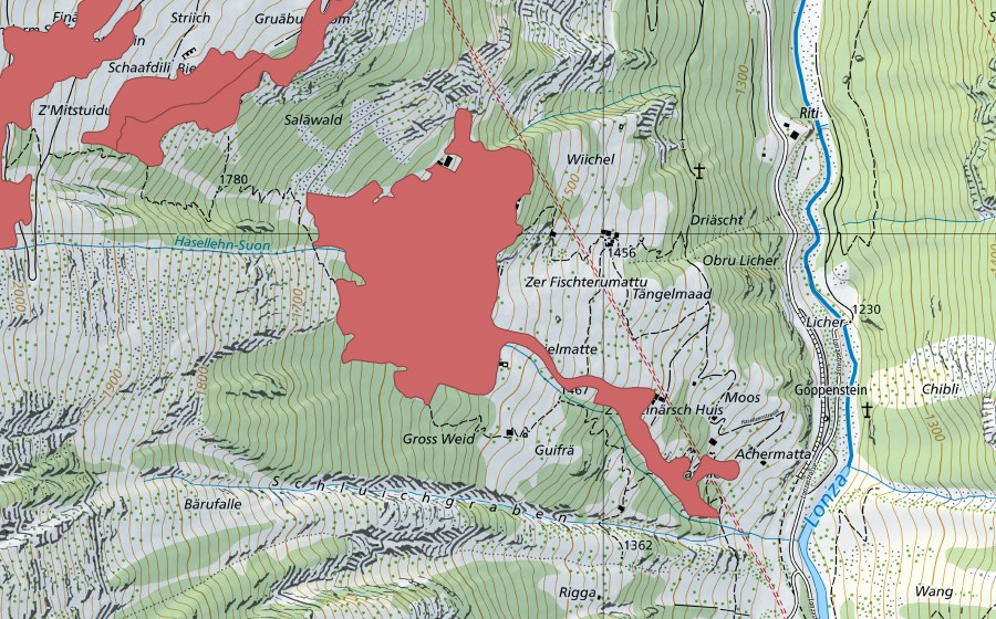 swisstopo national map showing the protected perimeter of Haselleen (Dry meadow)