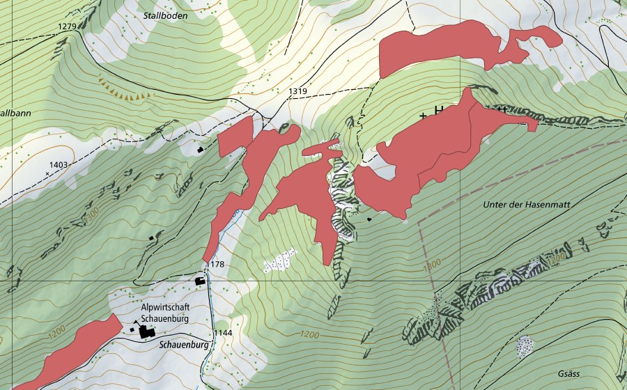 swisstopo national map showing the protected perimeter of Hasenmatt (Dry meadow)