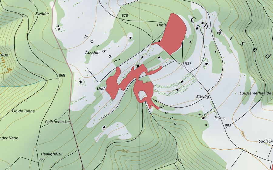 Landeskarte swisstopo mit dem Schutzperimeter von Haslenacker (Trockenwiese)