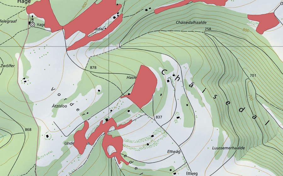 Landeskarte swisstopo mit dem Schutzperimeter von Haslenacker (Trockenwiese)