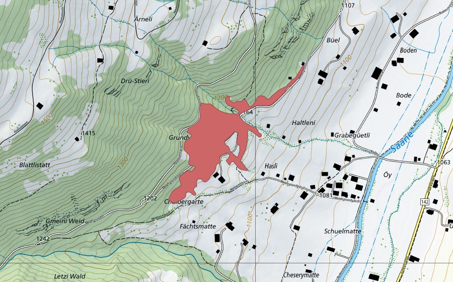 swisstopo national map showing the protected perimeter of Hasli (Dry meadow)