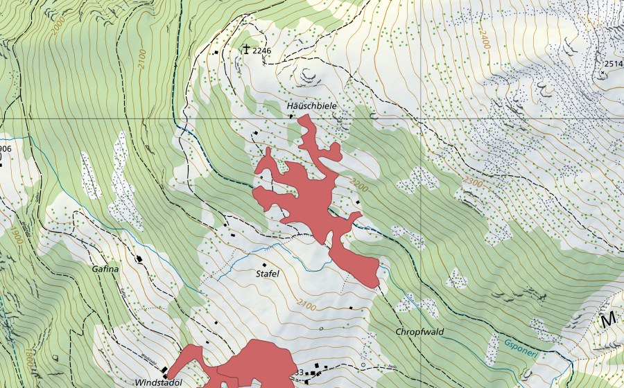 swisstopo national map showing the protected perimeter of Häüschbiele (Dry meadow)