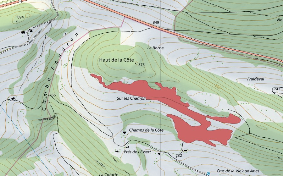 Carta nazionale swisstopo con il perimetro protetto di Haut de la Côte (Prato secco)