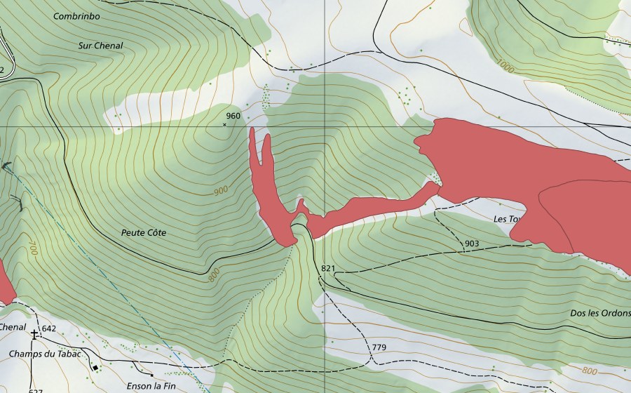 Landeskarte swisstopo mit dem Schutzperimeter von Haut du Droit (Trockenwiese)
