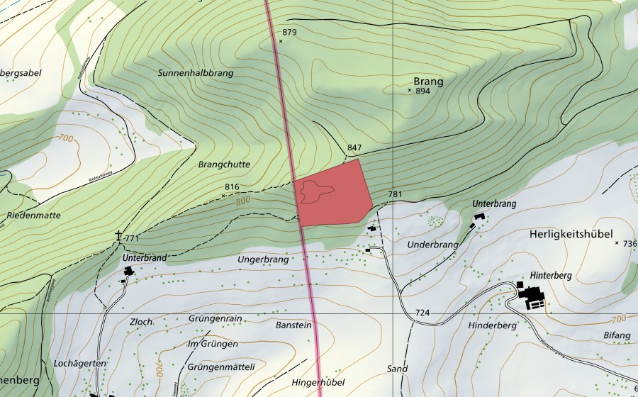 Landeskarte swisstopo mit dem Schutzperimeter von Häxenblätz (Trockenwiese)
