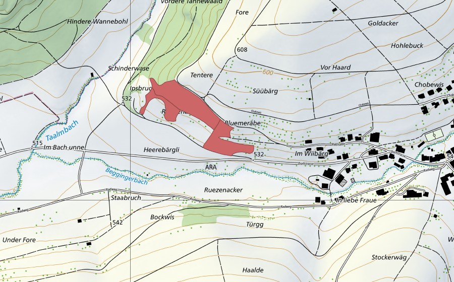 swisstopo national map showing the protected perimeter of Heerenbergli (Dry meadow)
