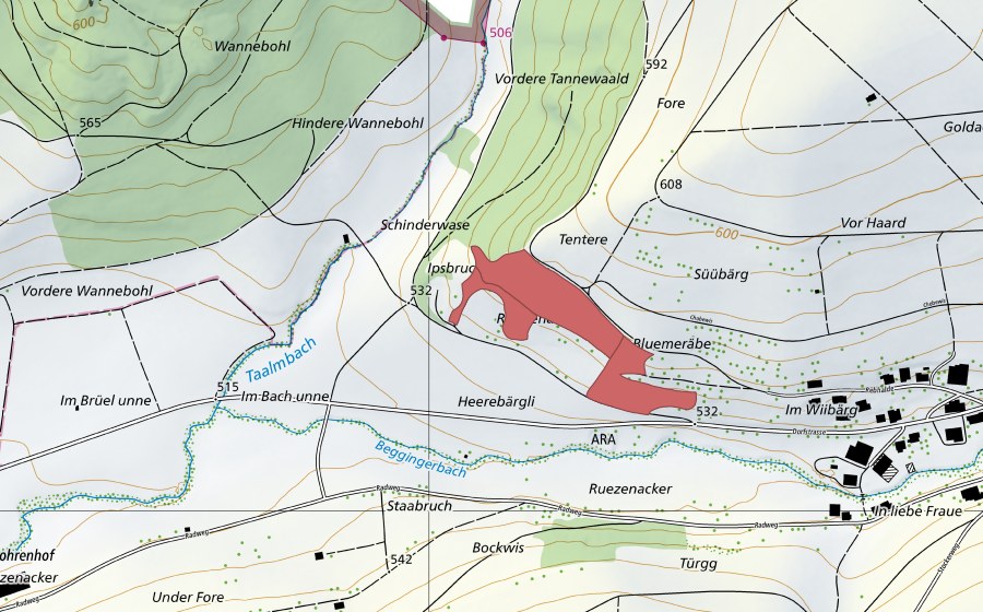 swisstopo national map showing the protected perimeter of Heerenbergli (Dry meadow)