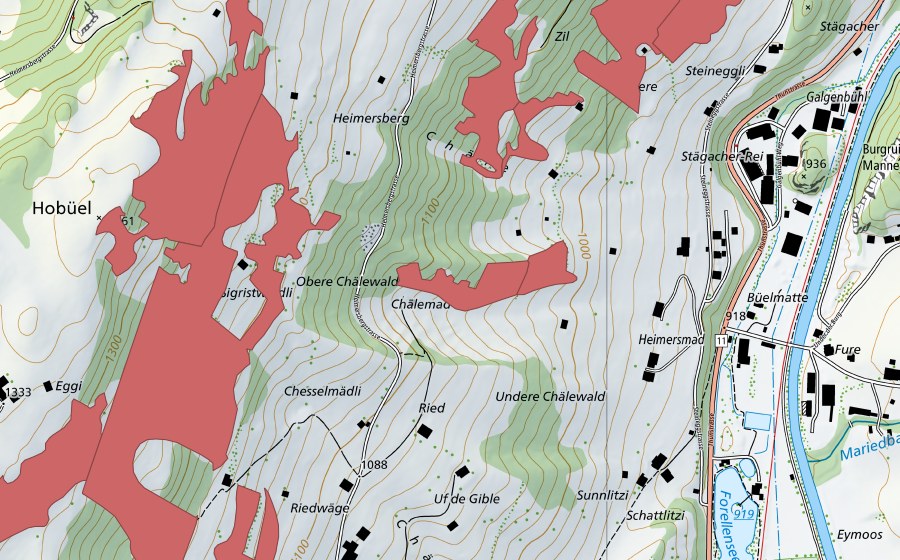 swisstopo national map showing the protected perimeter of Heimersmad (Dry meadow)