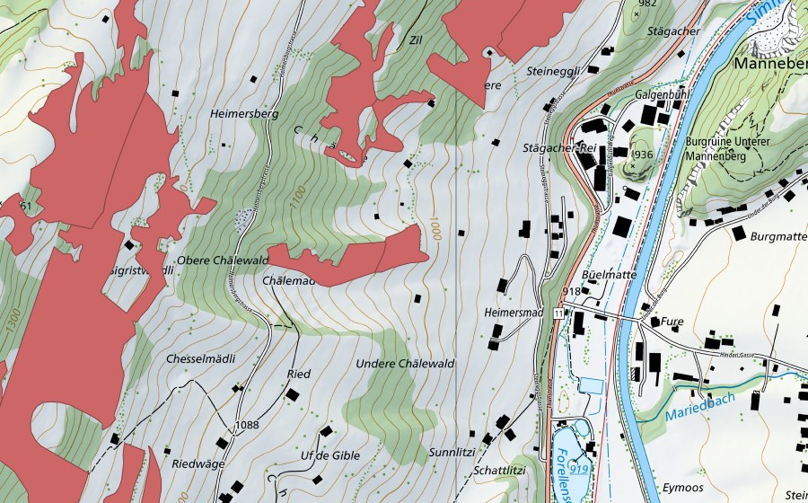 swisstopo national map showing the protected perimeter of Heimersmad (Dry meadow)