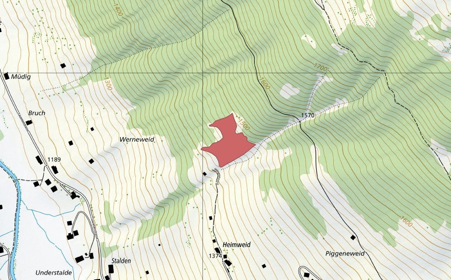 swisstopo national map showing the protected perimeter of Heimweid (Dry meadow)