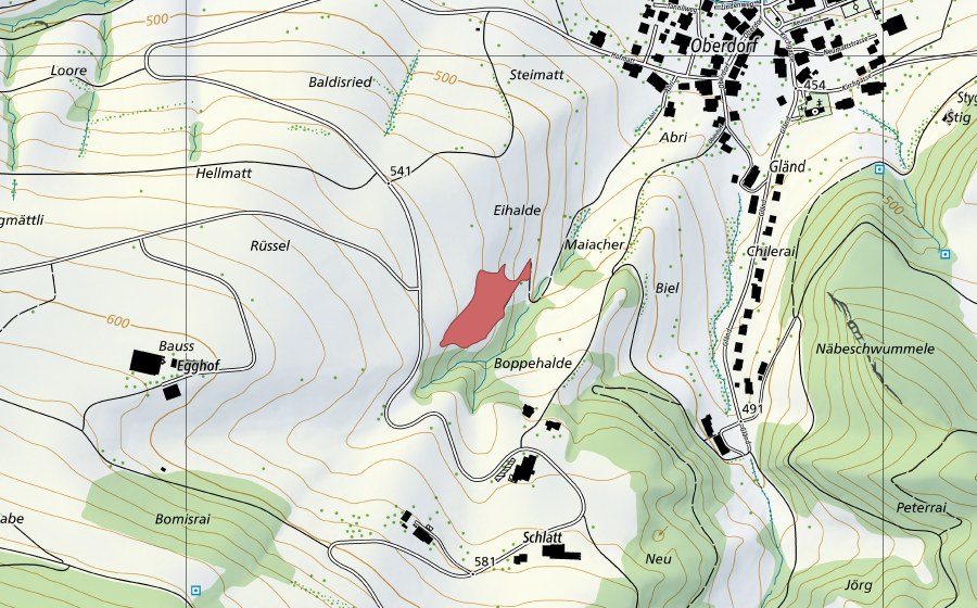 Landeskarte swisstopo mit dem Schutzperimeter von Hellmatt (Trockenwiese)