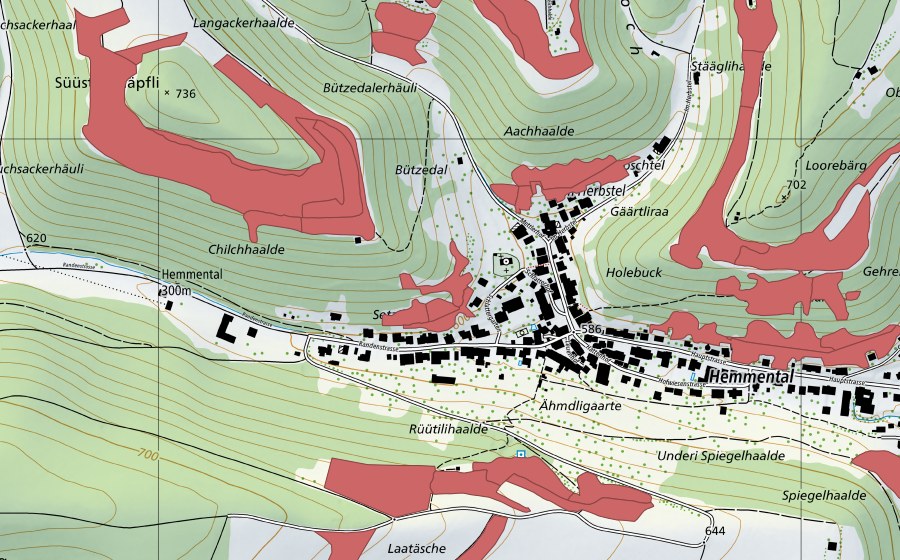 Carta nazionale swisstopo con il perimetro protetto di Herbsttal (Prato secco)