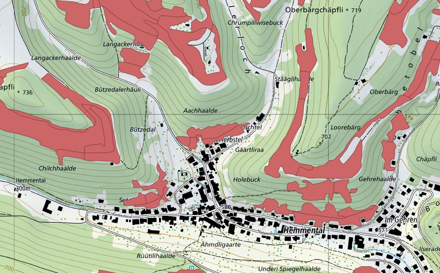 swisstopo national map showing the protected perimeter of Herbsttal (Dry meadow)