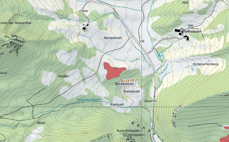 swisstopo national map showing the protected perimeter of Herrenmatt (Dry meadow)