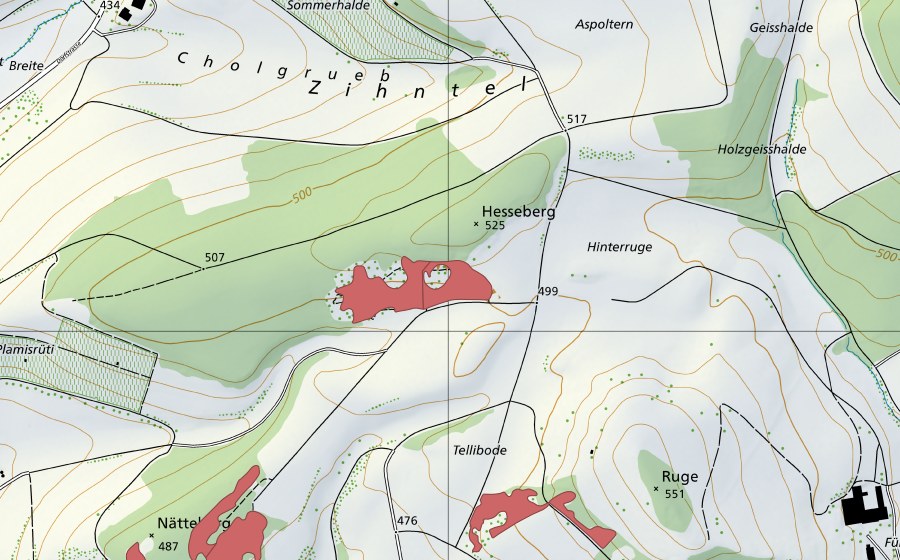 Landeskarte swisstopo mit dem Schutzperimeter von Hessenberg (Trockenwiese)