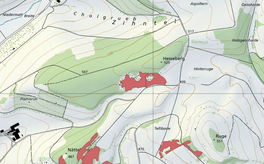 swisstopo national map showing the protected perimeter of Hessenberg (Dry meadow)