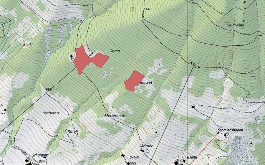 swisstopo national map showing the protected perimeter of Heuwet (Dry meadow)