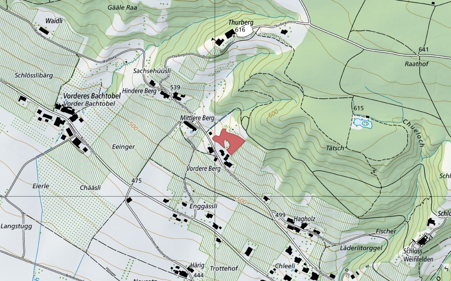 Carte nationale swisstopo avec le périmètre protégé de Hindere-Bärg (Prairie sèche)